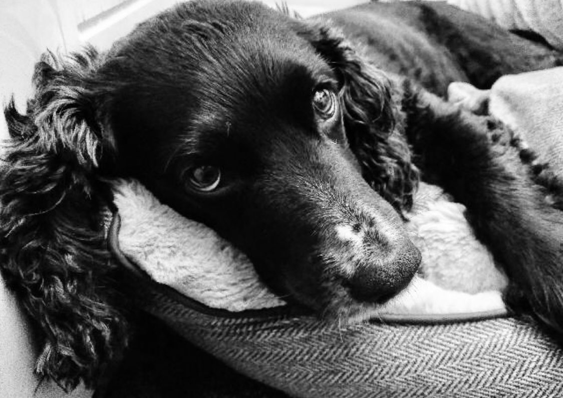 Jon Holmes tweet media