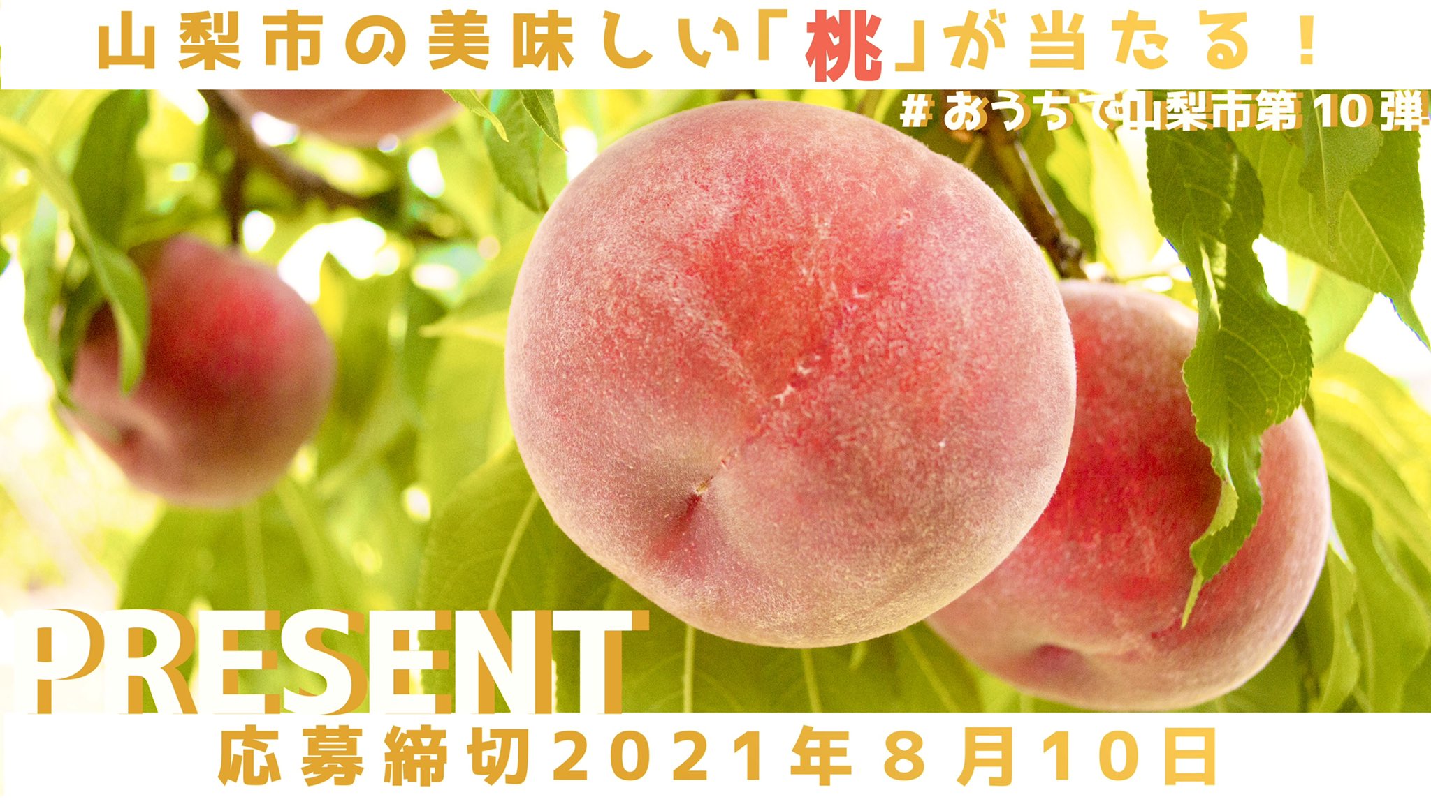 山梨市観光協会 プレゼントキャンペーン おうちで山梨市 第10弾 おうちで桃狩り 抽選で5名様に 山梨市産の桃2 8kgとおうちで桃狩りキットが当たります 詳細 応募はこちら T Co Jasy9tewqa キャンペーン中 本アカウント 山梨市観光協会 プレゼントキャンペーン おうちで山梨市 第10弾 おうちで桃狩り 抽選で5名様に 山梨市産の桃2 8kgとおうちで桃狩りキットが当たります 詳細 応募はこちら T Co Jasy9tewqa キャンペーン中 本アカウント