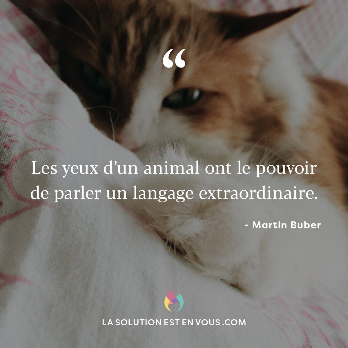 La solutionestenvous tweet media