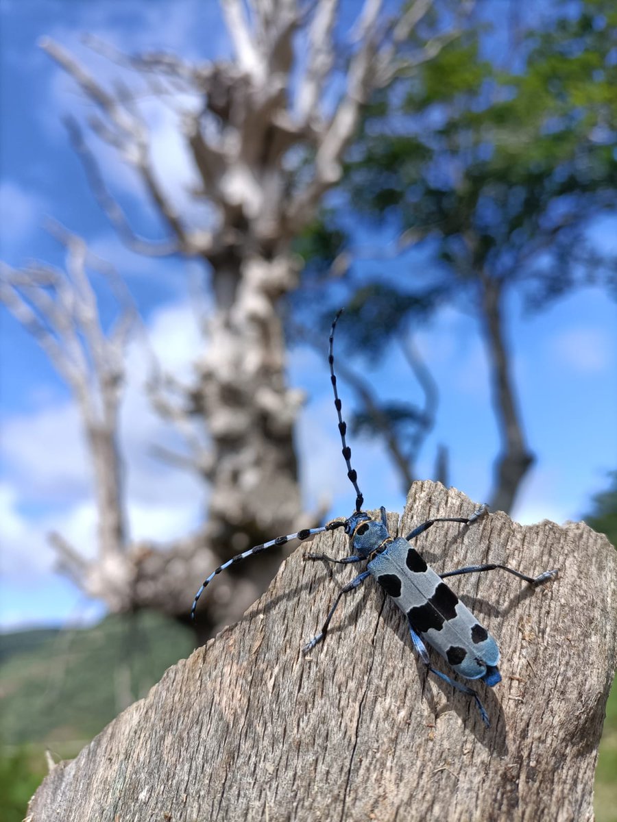 BIOSFERA Consultoría tweet media