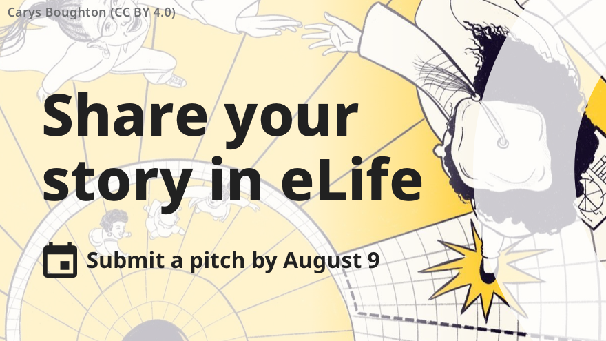 eLife's tweet photo. 📢 Calling all prospective writers!

Do you have a personal story about your time in #Academia that you feel illustrates how research culture is or should be changing?

Our new column #SparksOfChange is for you! 
https://t.co/on2RZqt0pk https://t.co/VRa4UVHqea