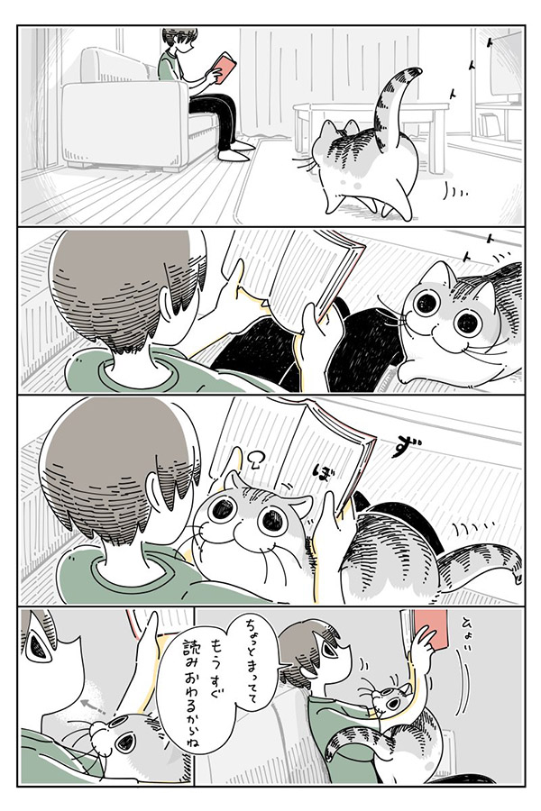 猫の『構ってアピール』のつらさとは…!? 「分かりすぎる」「あるある」 https://t.co/0VkTWsqXXa @grapeejpより 