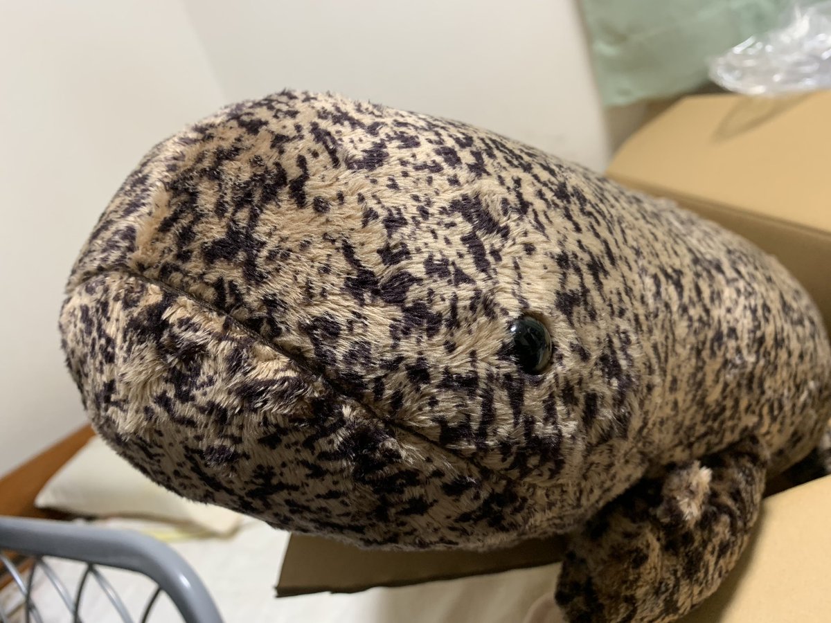 ひざオオサンショウウオ<特大>ふかふかな手触りで添い寝にオススメ