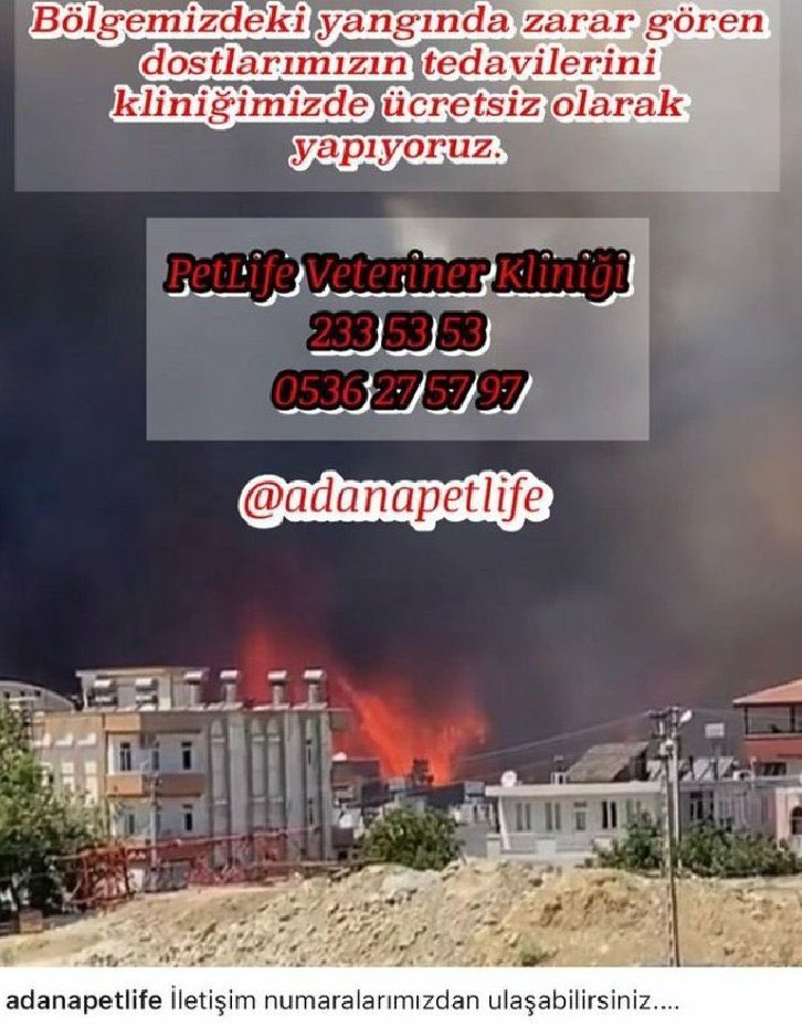 cellatizzm's tweet photo. yayalım. #PrayForTurkey #TürkiyeYanıyor https://t.co/c08vWK0eRc