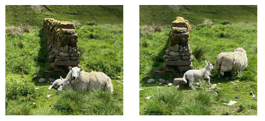 To Scotland and Back - eepurl.com/hEYVav