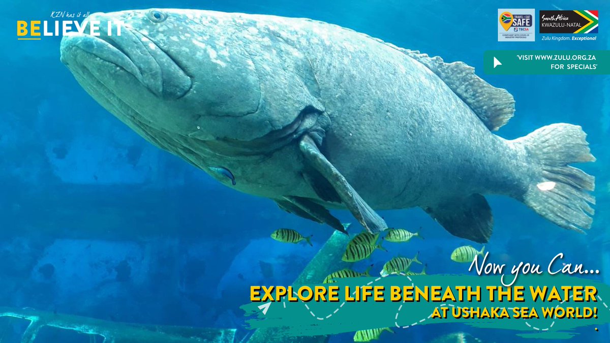 KZN Tourism & Film - Visit KZN tweet media