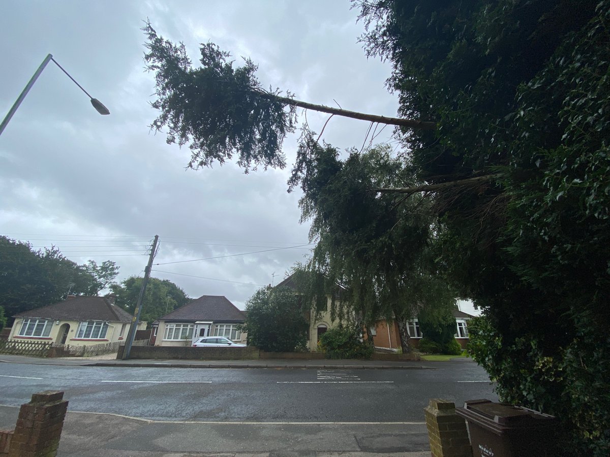 Pawann's tweet photo. @SouthernWater I have just tweeted you regarding the impact of #StormEvert, I would welcome a response ASAP please. These branches will seriously hurt someone walking past! Been trying to get your company to sort this for over 4 weeks and no one is taking action. https://t.co/19q5We0GFh