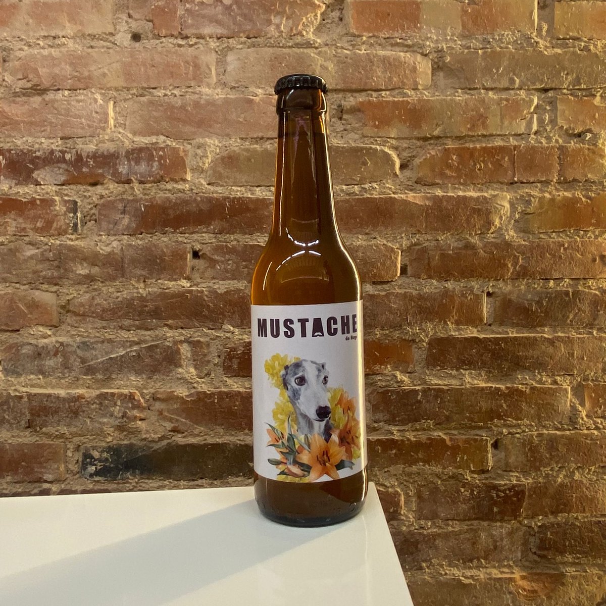 “Cerveza Mustache de Hugo” <a href="/MustacheCerveza/">Mustache Cerveza</a>.
Mientras degustas esta cerveza, estás donando parte de tu compra al proyecto de Las Muy Perras. Juntos luchemos contra el maltrato animal y el abandono de perretes ❤️.
Ven por la tuya a Milhojas ✨ 📍
#enriquegranados70