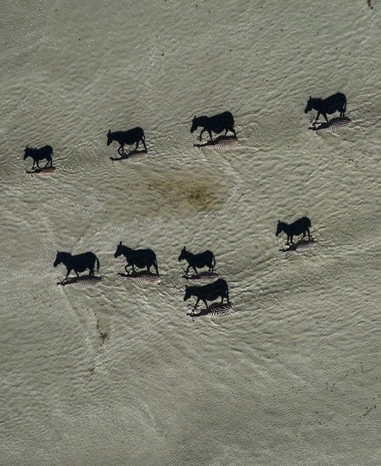 E7isKC0XIAU1SLY?format=jpg&name=small