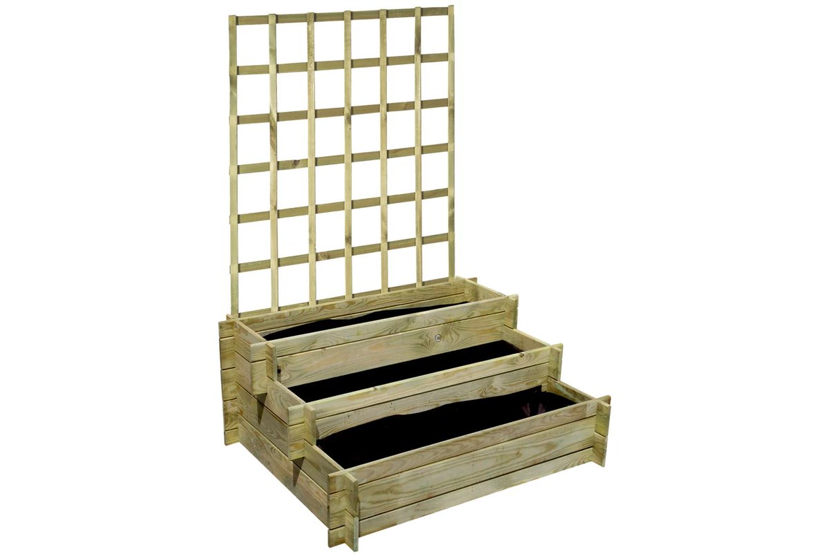 Clara Ávila tweet media