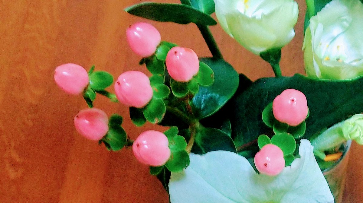 Flower Junsan على تويتر 写真はよくアレンジメントのアクセントで使われる実なのですがカワイイですね 初夏に黄色い綺麗なお花 を咲かせる東アジア一帯に見られる多年草で和名はオトギリソウといいます お花の写真は手に入ったらご紹介しますね 花言葉は 悲しみは