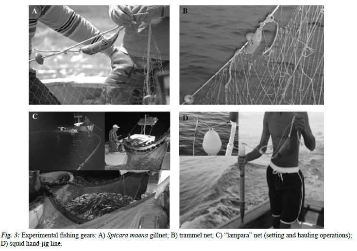 FishtekMarine's tweet photo. Anti-Depredation pingers proven to ⬇️#dolphin-#fishery conflict in artisanal fisheries in the Aeolian Archipelago (Bruno et al., 2021). #Dolphin depredation events decreased by 100% in gillnets, 86% in ‘lampara’ nets with a strong increase in catch weight and revenue reported. https://t.co/kW6MNv5kYT