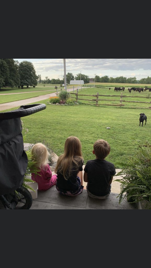 TJ Klopp tweet media