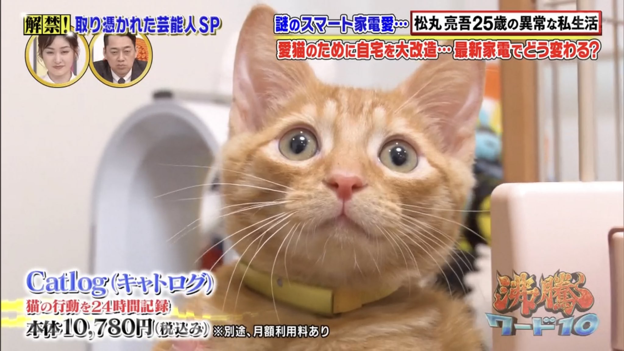 松丸 亮吾 猫のスマート首輪catlogは 最近一番買ってよかった家電です 猫が食事をしたか 水を飲んだか 運動 睡眠は十分か 毛づくろいをし過ぎてないか 健康のバロメーターとなる情報を首輪1つで管理できます 少しでも挙動が変わると通知も来 松丸 亮吾 猫のスマート首輪catlogは 最近一番買ってよかった家電です 猫が食事をしたか 水を飲んだか 運動 睡眠は十分か 毛づくろいをし過ぎてないか 健康のバロメーターとなる情報を首輪1つで管理できます 少しでも挙動が変わると通知も来