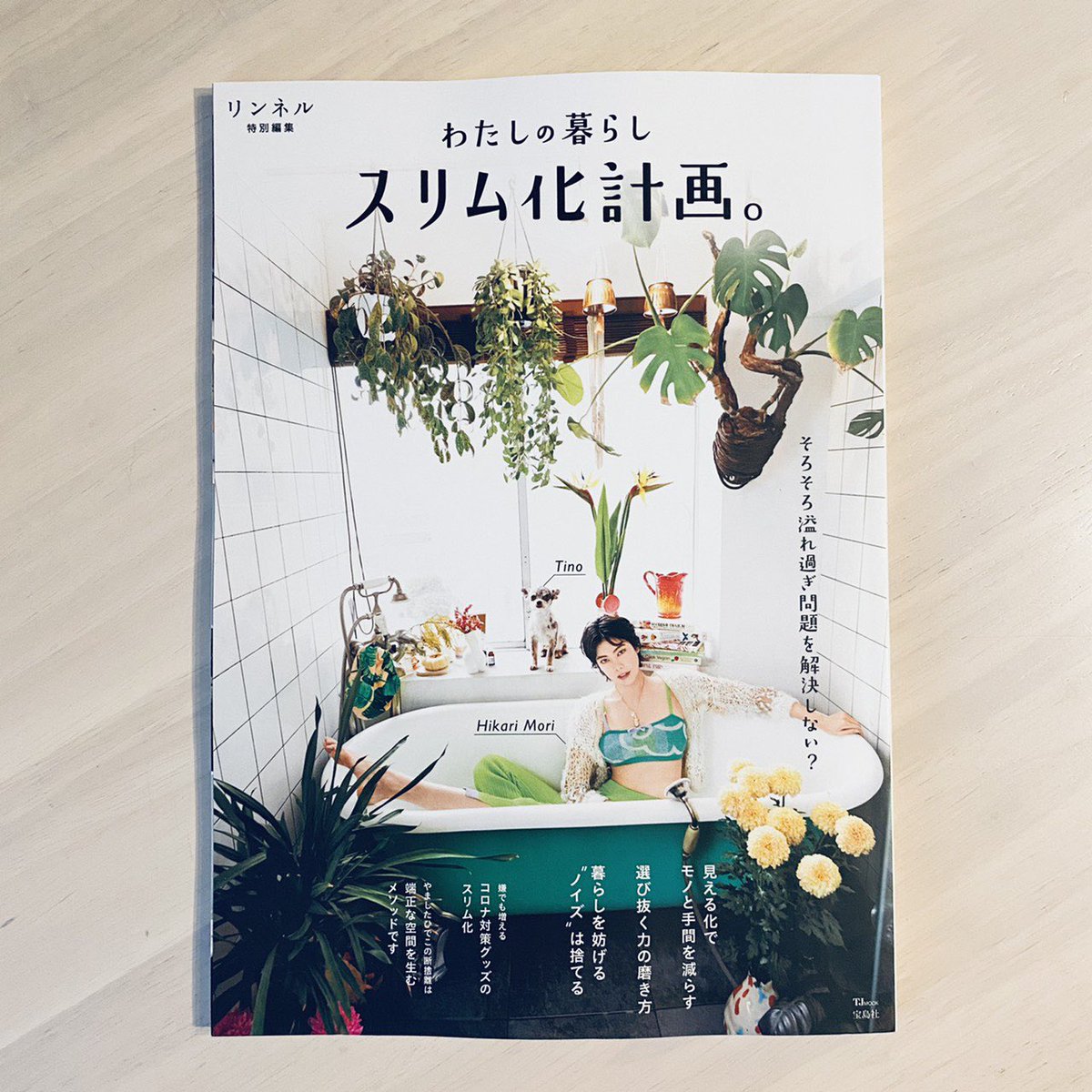 Okoto お仕事 発売中のtj Mook リンネル特別編集 わたしの暮らしスリム化計画 の なぜ丁寧な暮らしをしている人は品格があるのか P 91 ページの イラストを描かせて頂いています 丁寧な暮らしのイメージで 花や猫 化粧する女性を描きました