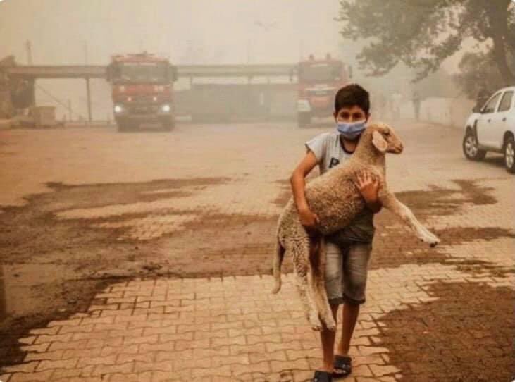 Diyaro58's tweet photo. Herkesi affedin ama VATANINA ihanet edeni asla affetmeyin.
Hz.Ali
Geçmiş olsun TÜRKİYEM!
#Özyıldızlar
     #orospiçocukları #Antalya #TuerkiyeYanıyor https://t.co/js1e8KJ31G