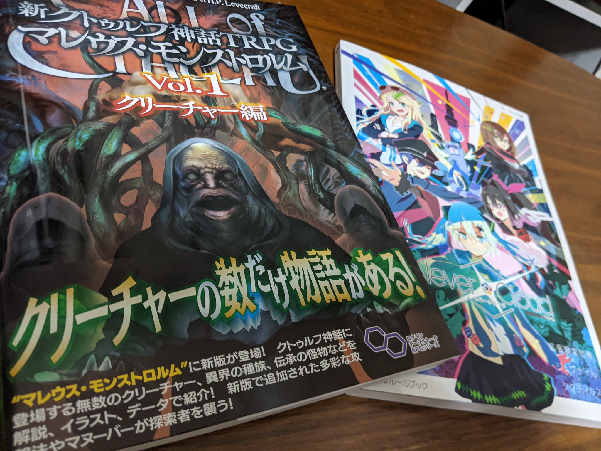 ネバシデルムのリーフレット