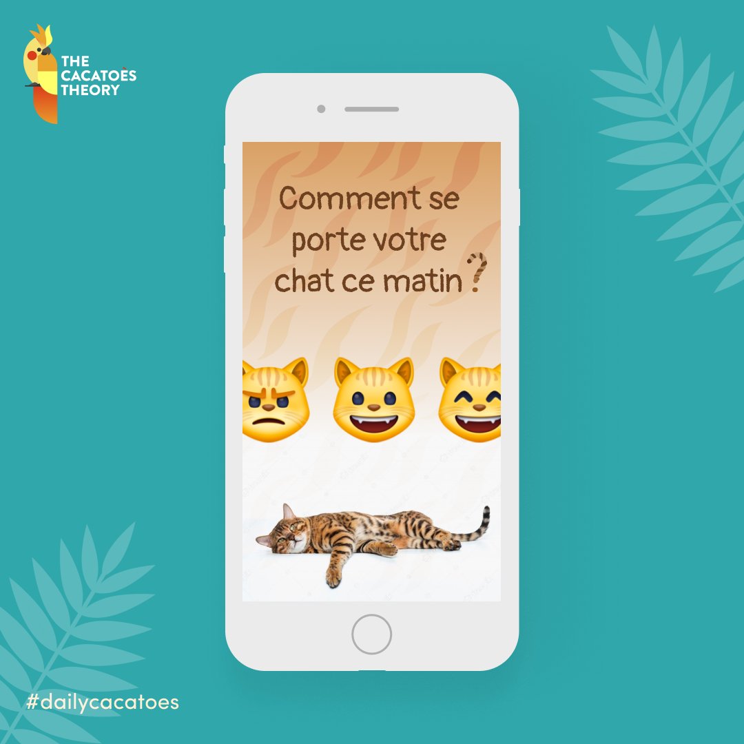 cecdeweb tweet picture