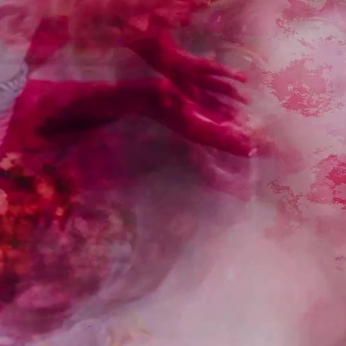 Blank Studios tweet media