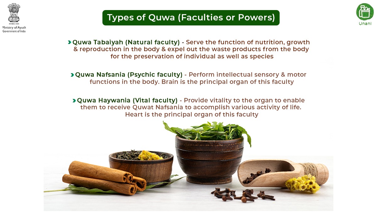 moayush's tweet photo. Every living being requires certain functions to preserve life, which depend on definite powers. As per the Unani Medicine System, there are mainly 3 types of powers inherited in every human being which assist them in maintaining life &amp; propagate generation

#UnaniMedicine https://t.co/zBeAkCvqEK