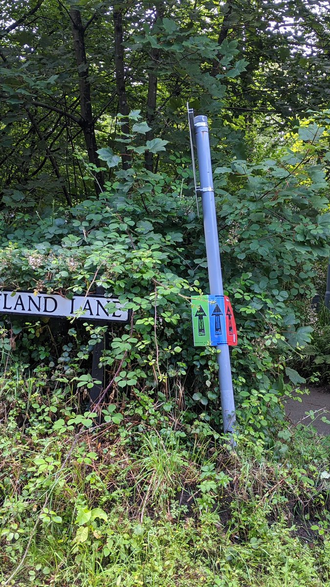 LittleLumpy's tweet photo. We have had teams out today signing the #littlelumpy charity sportive routes ahead of Sunday. Green for the Sport route (40 miles). Blue for the Challenge (60 miles). Red for the Epic (100 miles). You can still register on the day. https://t.co/YHeCSDXokB #Haslemere https://t.co/CPWGzkgQTo