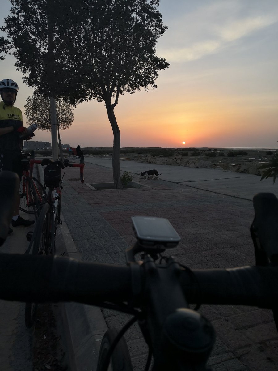 CyclistAdnan's tweet photo. #Tarout #تاروت #دراجات #غروب https://t.co/ZatgYPGAKv