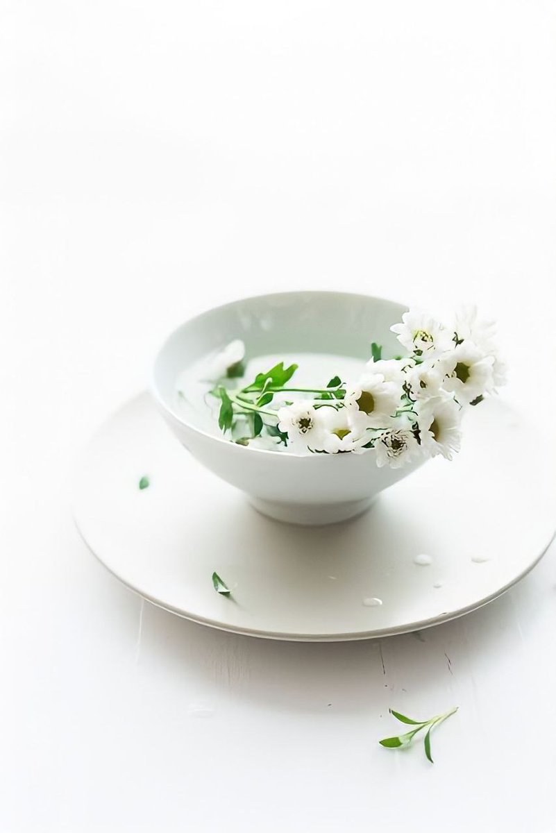 ･𝅼🌻𝆯᜔⌇𝆬⭑Pedido: Combo Daisies For You.

𓏲 De: j.
𓏲 Para: <a href="/imnayeonlt/">nay.</a>⁩

 ✎୭࣭࣪˒˖᳝̇۬💌⭟ ❝ Pra você ter um ótimo dia! ❞