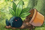 I'm a big fan of when pokemon made the oddish line closer to their black in-game sprites instead of their regular blue 