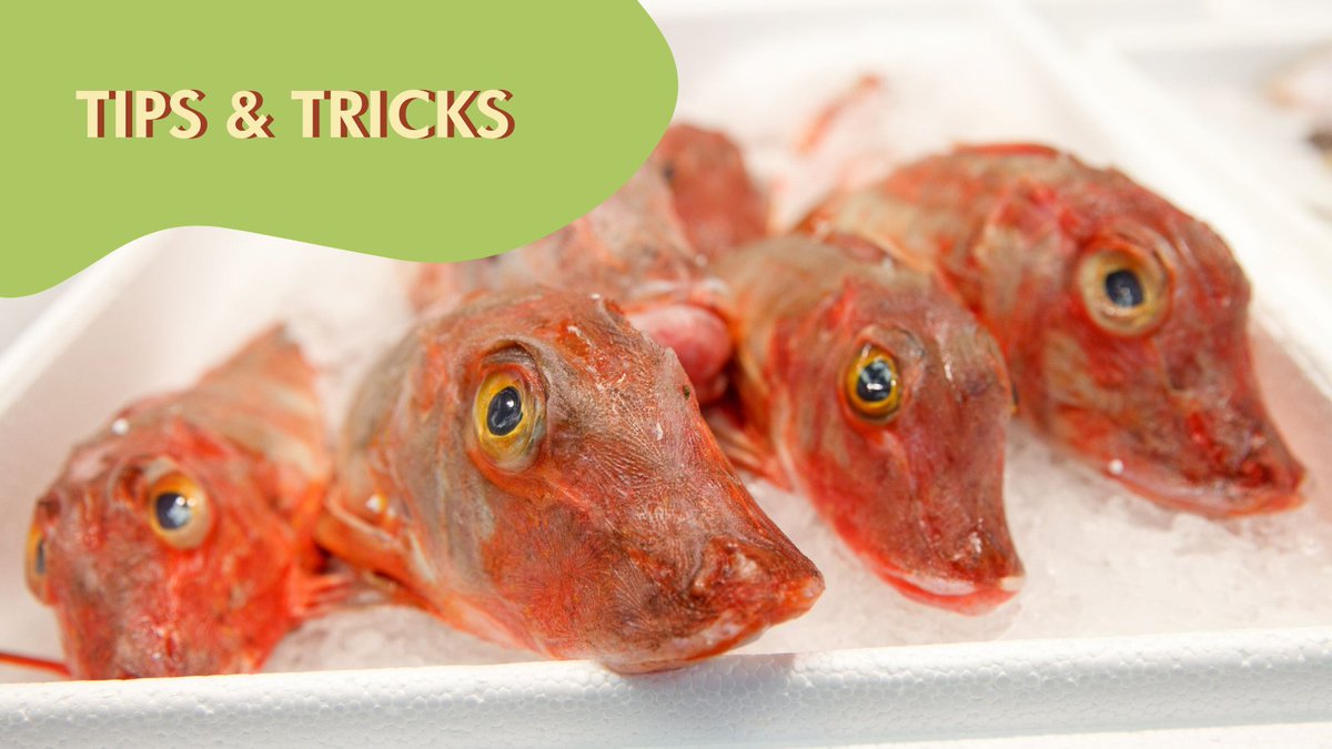 👀When buying the freshest #fish, the eyes have it! Bright & clear, 'life-like' eyes are a sign of freshness, while cloudy, sunken, dull or blotchy eyes can indicate that a fish is past its prime. Still not sure? Give it a sniff - the fish should smell of the sea, not fish-y!