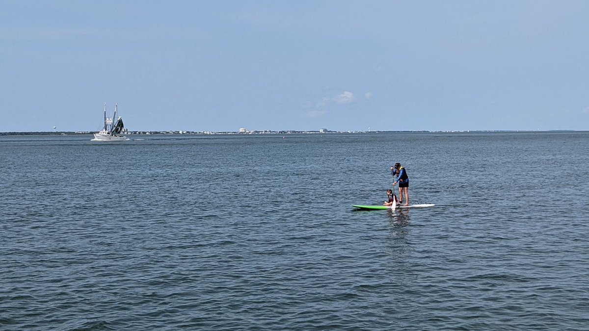 🚨Dream postdoc alert!!🚨 https://t.co/5in5VfYhIc