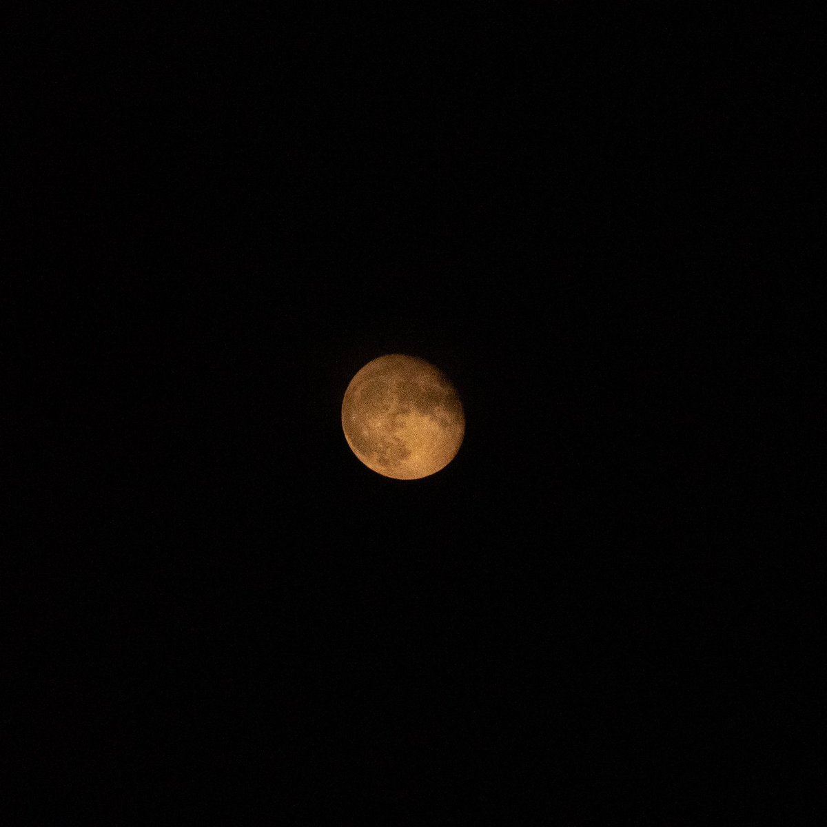 inshanephotos's tweet photo. Tried to take some photos the other night of the moon. I should of remembered my tripod 😅 https://t.co/MR09KZmkpf