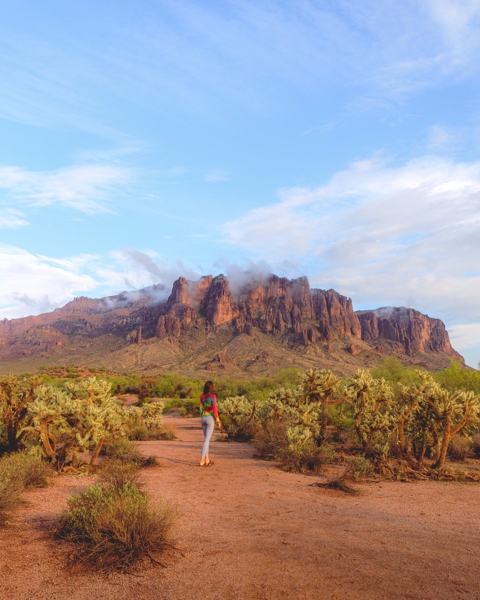 courtneylwilson's tweet photo. the smell of the desert after rain is easily in my top 10. 🌵 https://t.co/h4202LC0Zw