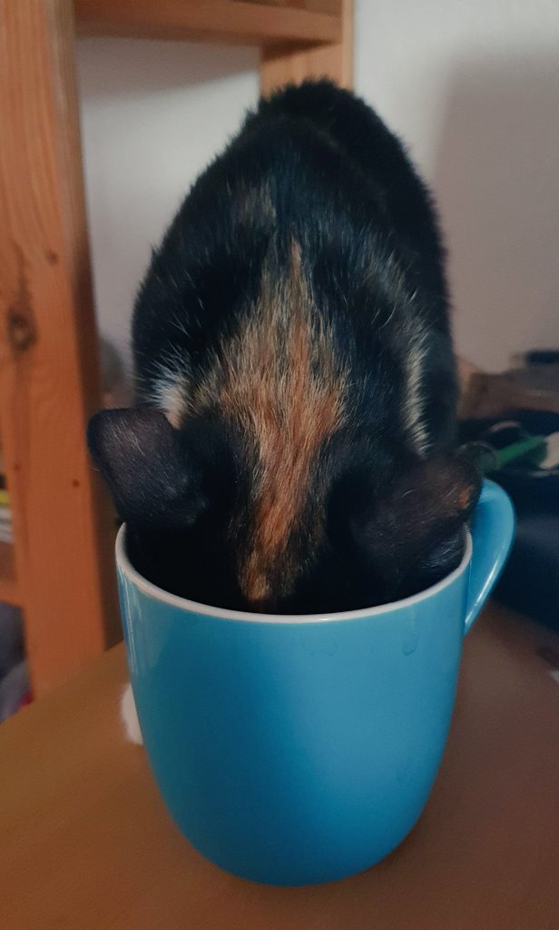 Lars Fischer tweet media