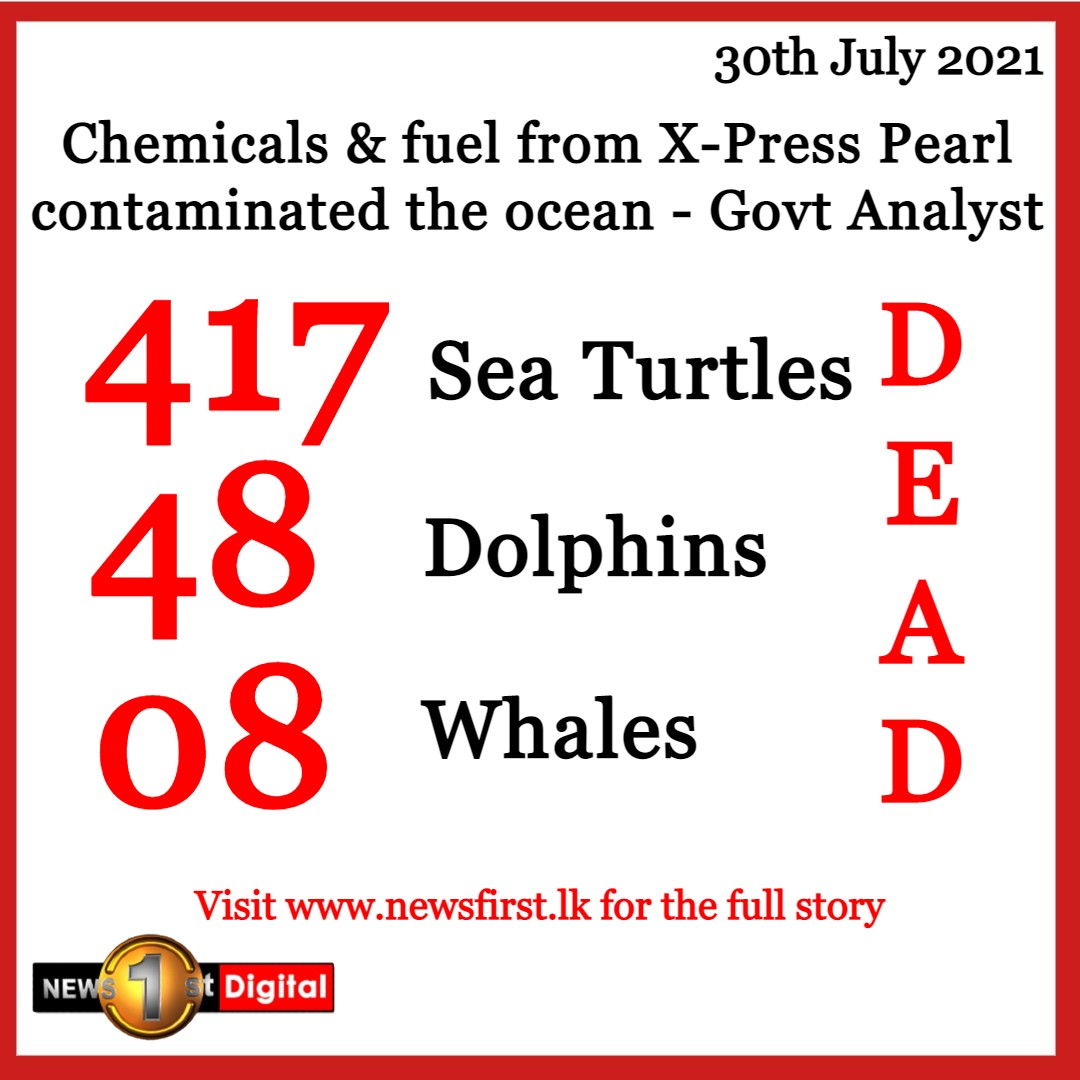 NewsfirstSL's tweet photo. Chemicals &amp; fuel from X-Press Pearl contaminated the ocean - Govt Analyst

READ MORE: https://t.co/1NNkJPQnGO

#lka #SriLanka #News1st #SLnews #XPressPearl #XPressFeeders #Court #Analyst #MarineLife #MarinePollution #SaveSLTurtles https://t.co/gngtTargPe