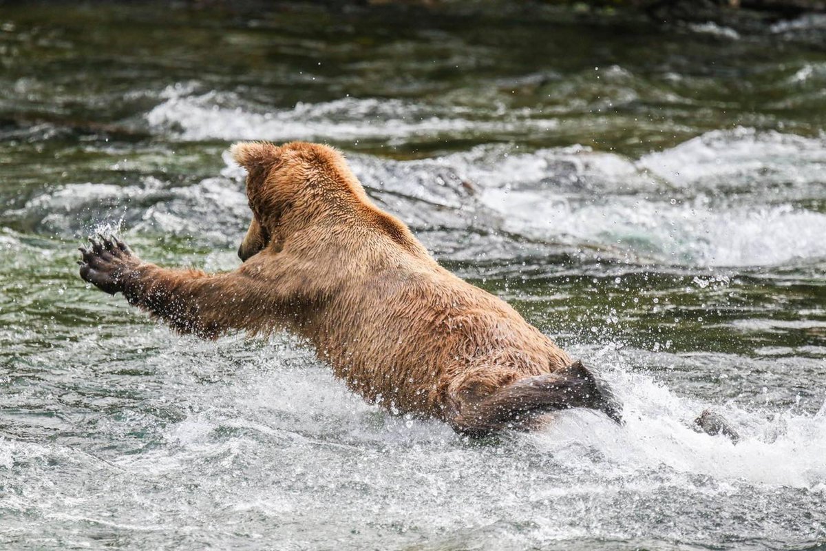 NatlParkService tweet picture