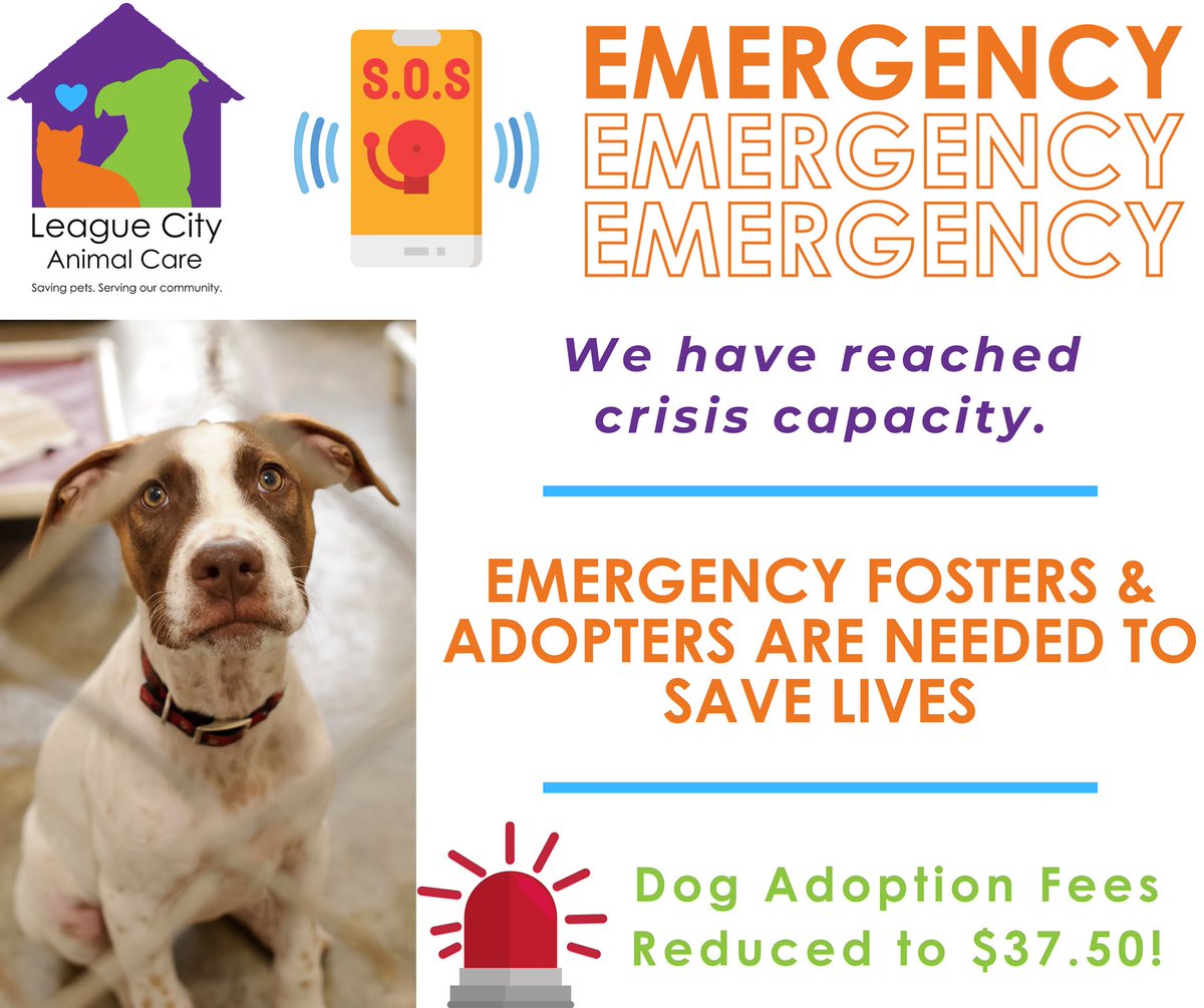 Dana Backe Danabacke Twitter