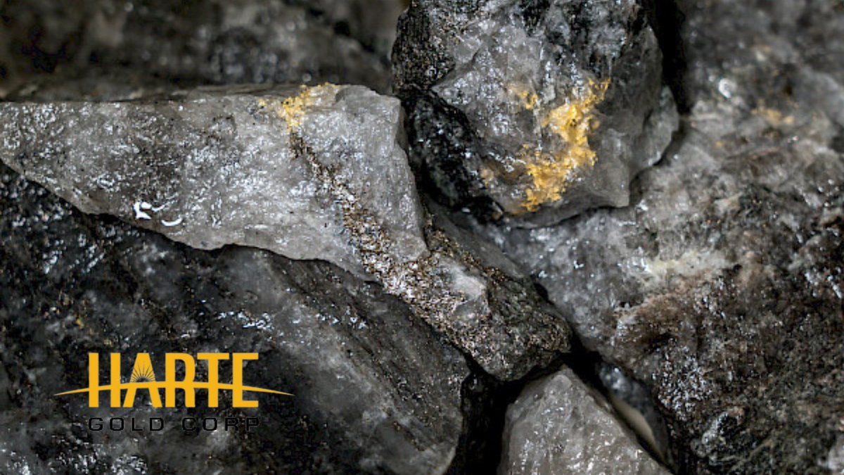 HarteGold's tweet photo. #PicOfTheWeek Visible #gold from the Sugar Zone Mine. https://t.co/styUFLhpVI