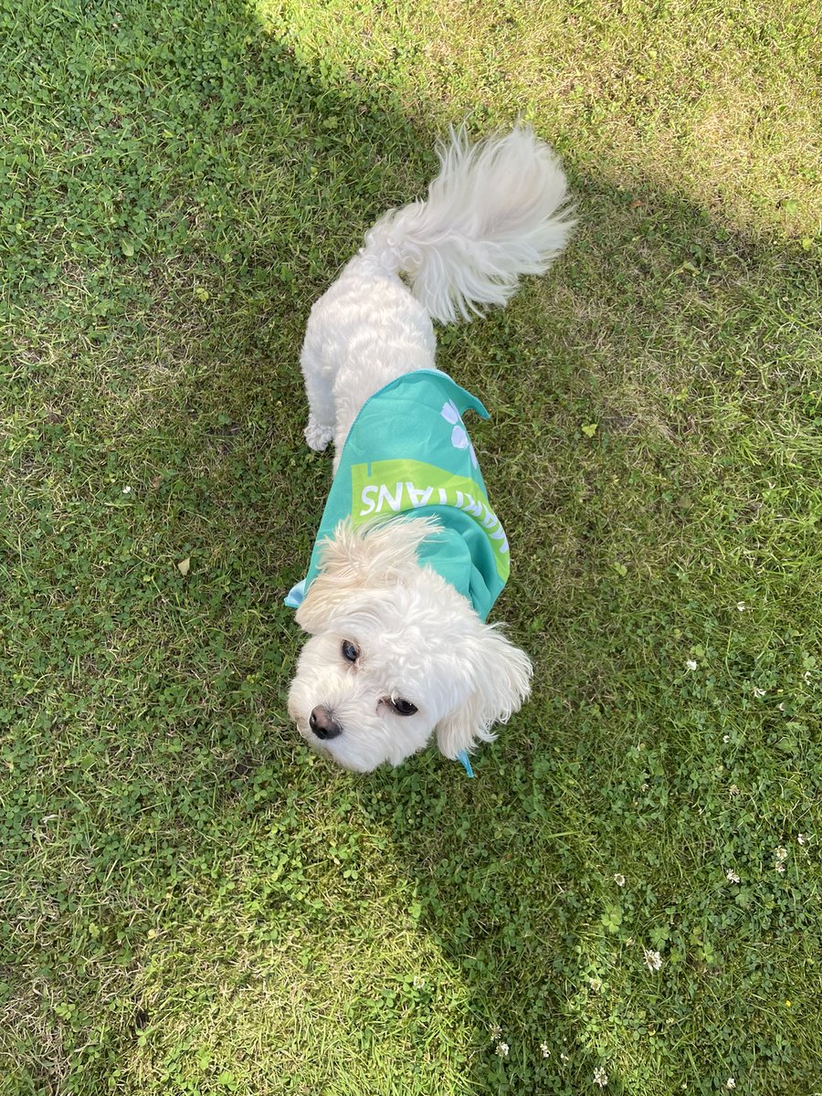 Jolene Angel and Dobby! tweet media