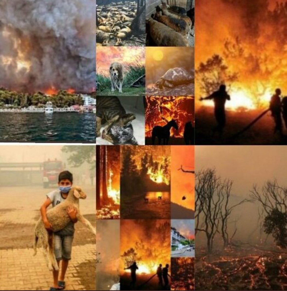 Масштабный огонь. Being burned. Being burned. Being burned. Ночь костров в великобритании гая фокса.