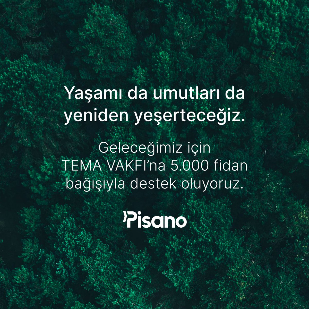 Yangında zarar gören tüm canlıların derin hüznünü yaşıyoruz. Pisano olarak yaşamı da umutları da yeniden yeşertmek için TEMA VAKFI’na 5.000 fidan bağışıyla destek oluyoruz. #YenidenYeşerteceğiz