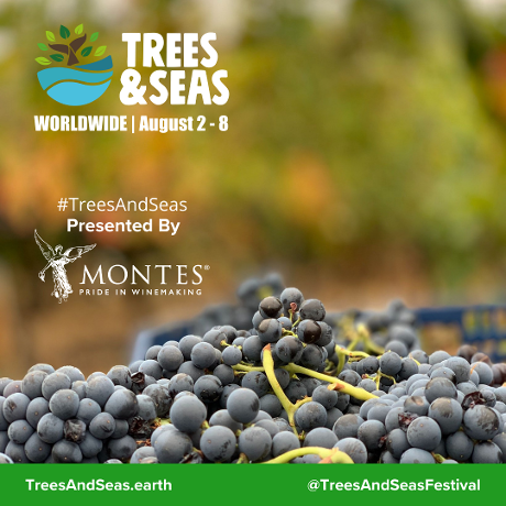 Montes Wines tweet media