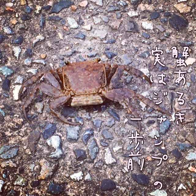 きょうの俳句 Twitter Search