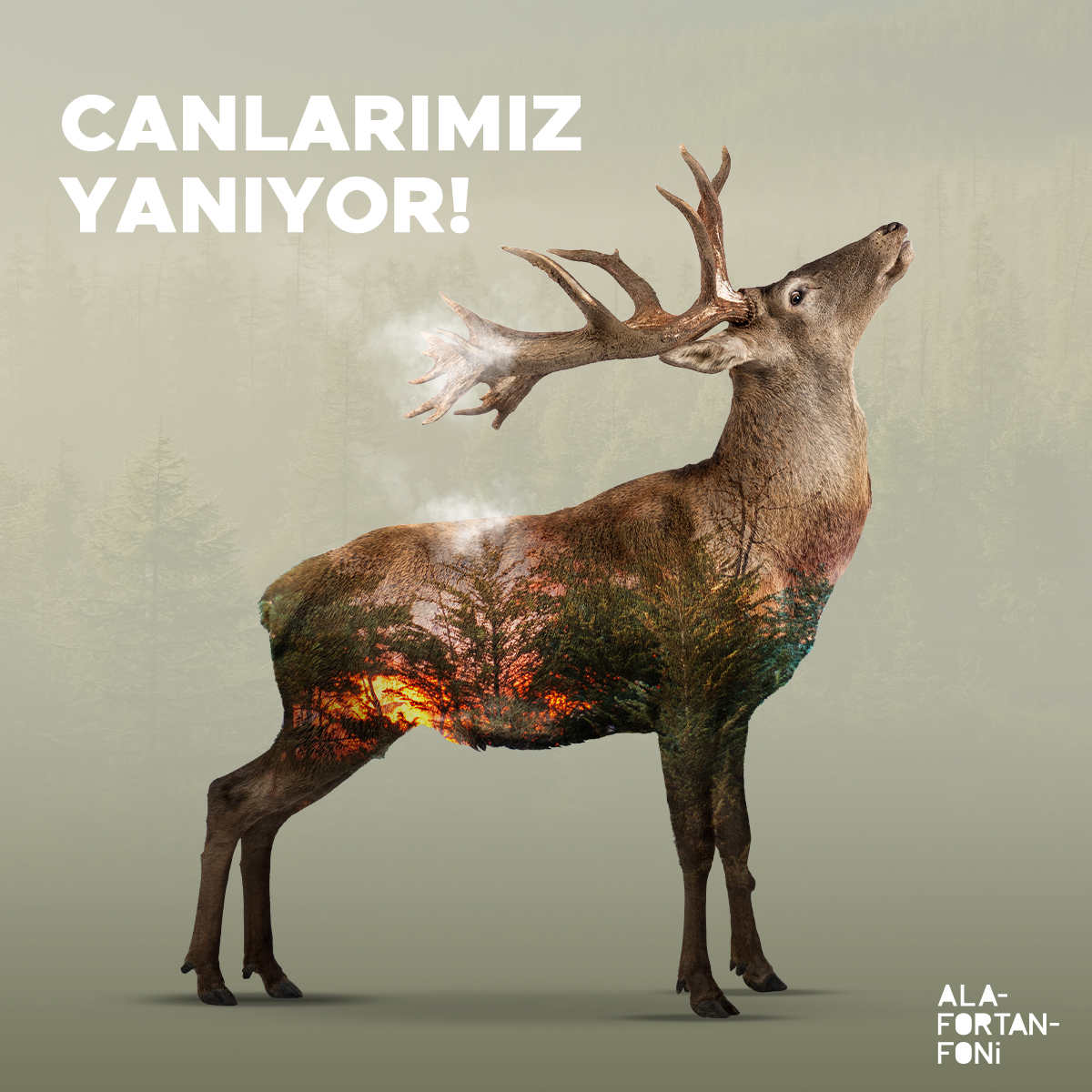 Alafortanfoni's tweet photo. Ormanlarımız, canlılarımız, en değerlilerimiz yanıyor, yok oluyor. Vatanımızın çeşitli noktalarında meydana gelen orman yangınlarının, kaybettiğimiz birçok masum canlının derin üzüntüsünü yüreğimizde hissediyoruz. https://t.co/DFG9O82i3e