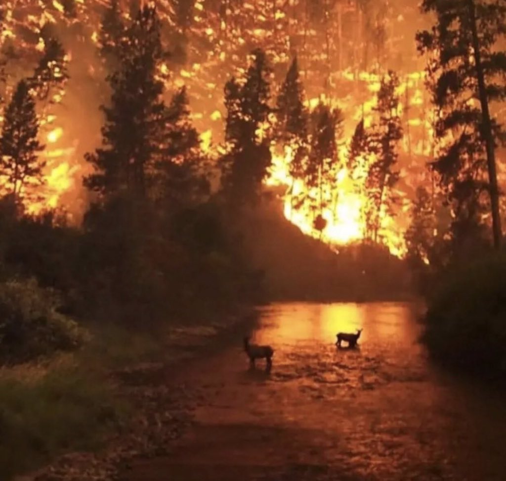 “Cehennem boş. Bütün şeytanlar burada.” #PrayForTurkey