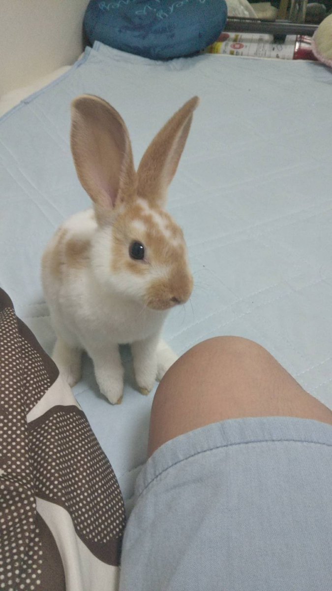 ろん Yu1pubkgkw2jpid Twitter