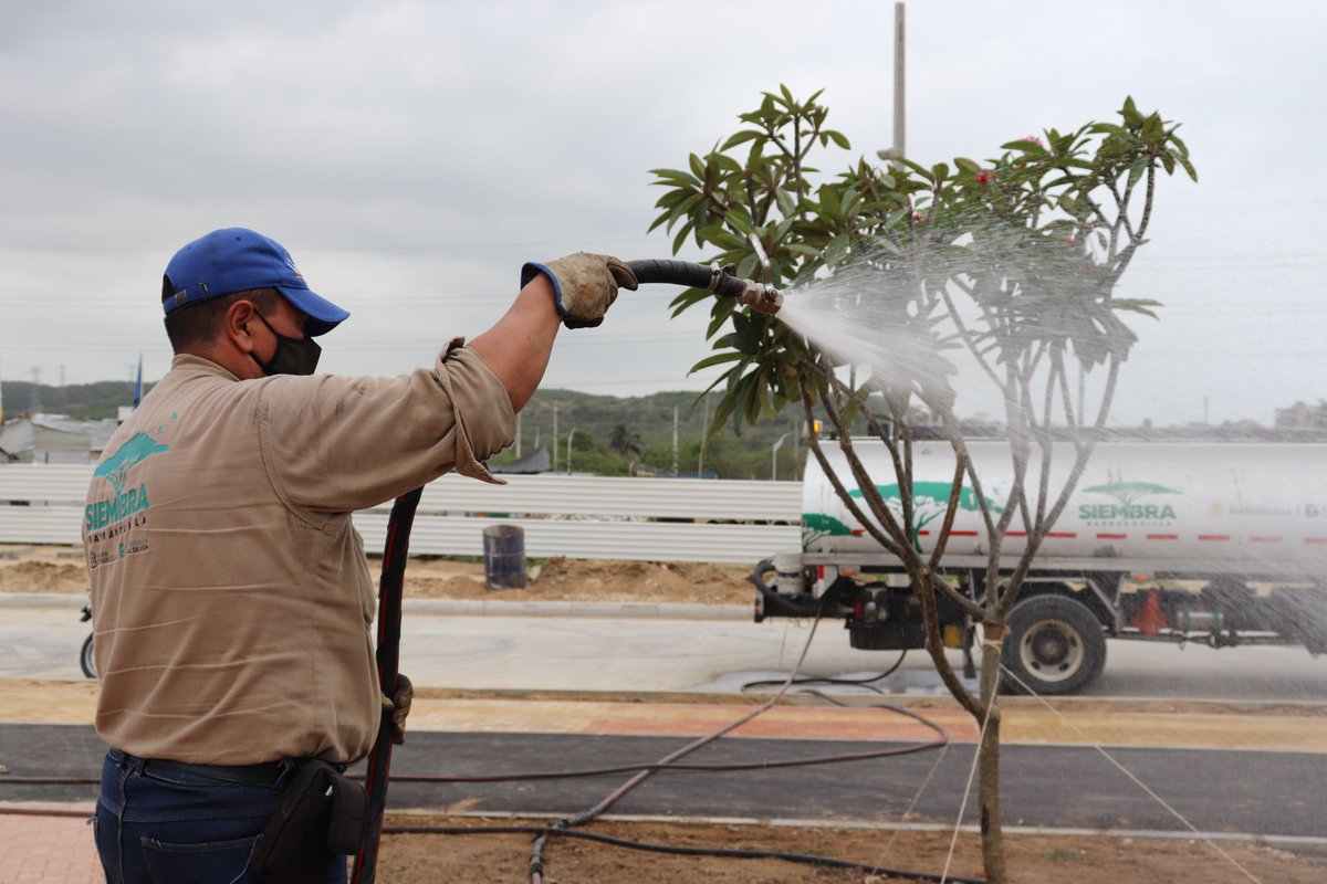 🌳¡Llegamos a salvar los espacios de Barranquilla! 

🦸‍♂️No tienen capas, ✈️no vuelan por el mundo, pero son los encargados de regar🚿 vida en las zonas verdes🍃 de la ciudad.

🙏¡Es momento de vestirte de héroe ambiental y cuidar nuestra Biodiverciudad!
