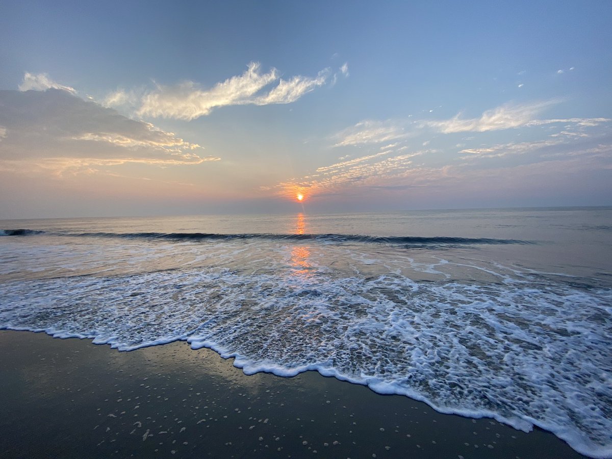 Maggie Carlo tweet media