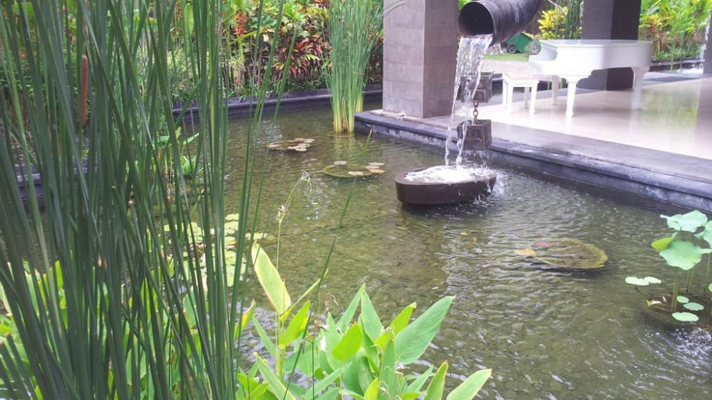 jha_yatendra's tweet photo. @anandmahindra @tech_mahindra You may give us a chance to develop the same in India #Biopond #SmartHimalaya https://t.co/ZIBmKTR4kf