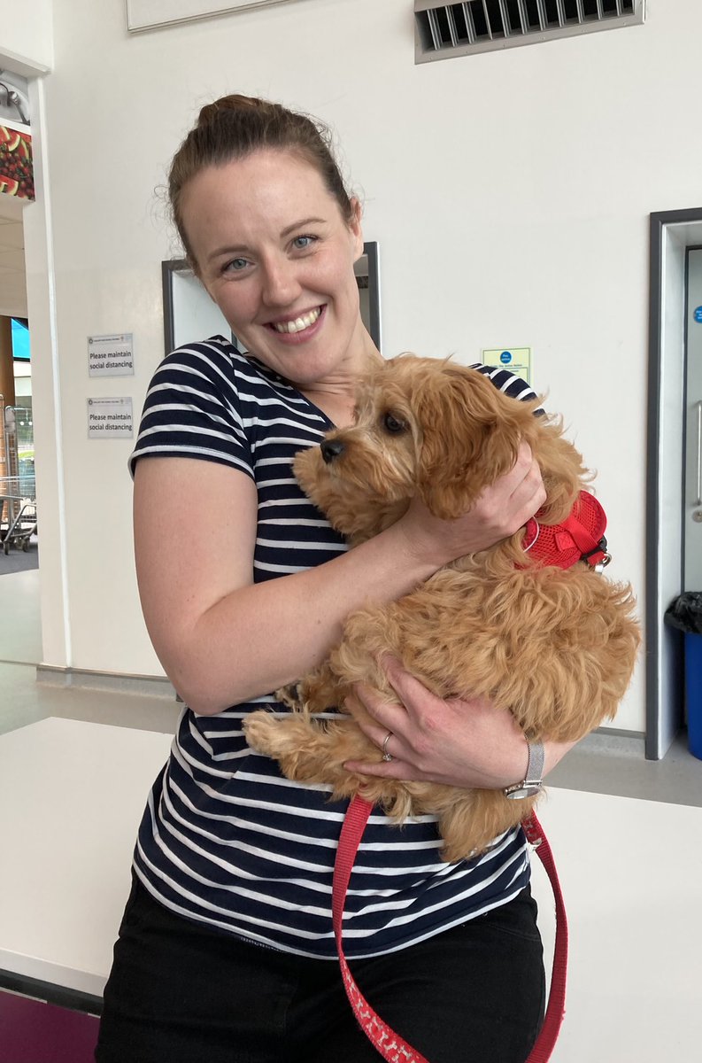 AJRAllModCons's tweet photo. A lovely time at the @Challney_Girls @ChallneyBoys brilliant summer schools! What fab atmosphere at both. The 80 Yr 10 boys weren’t distracted from their chicken&amp;chips treat, but lots were distracted by another visitor (not me!).. @educationgovuk @CharteredColl @historyRichards https://t.co/wb5KVkAyLF
