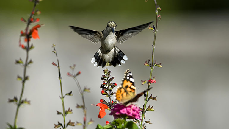 joni 🦋 tweet media